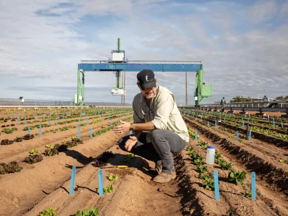 Duke Pauli, Associate Professor, Data Sciences Academy. Maricopa Agricultural Center.