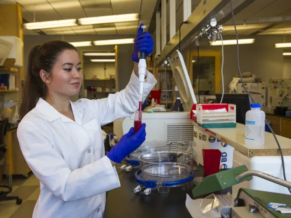 University of Arizona molecular and cellular biology undergraduate student Ayumi Pottenger handling a sample in the laboratory