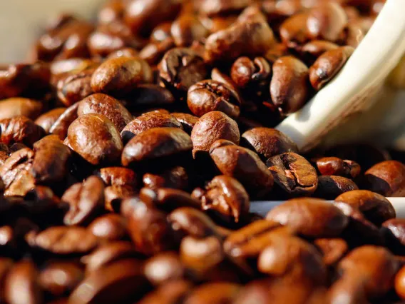 whole, roasted coffee beans spilling from a cup