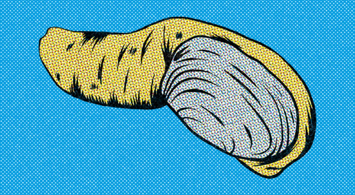 A graphic illustration of a geoduck