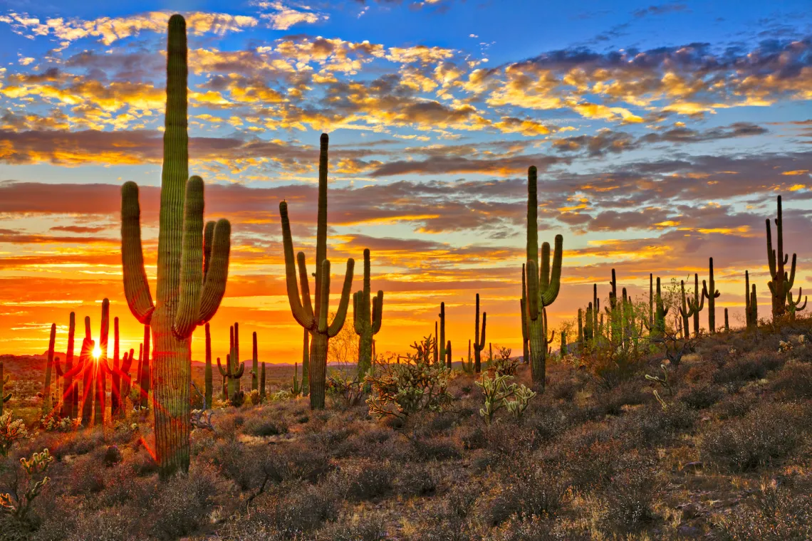 Sunset in Sonoran Desert, near Phoenix.