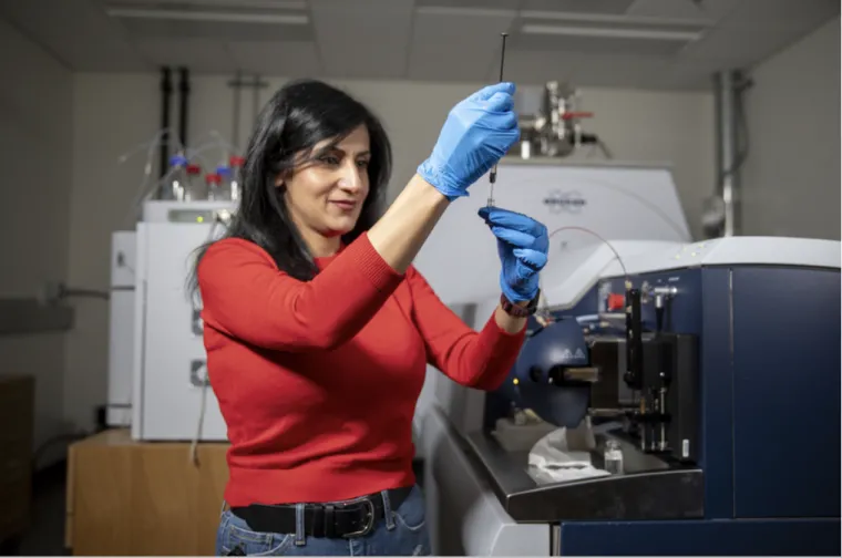 Malak Tfaily works in her lab