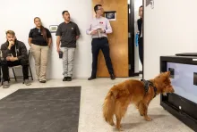 Visitors from Davis-Monthan observe a dog completing a trial at the Arizona Canine Cognition Center